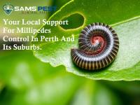 Sams Millipedes Control Perth image 6